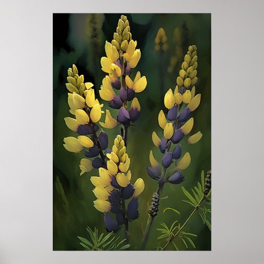 Poster d'impression d'Art Lupine Jaune (Devant)