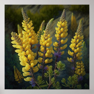 Poster d'impression d'Art Lupine Jaune