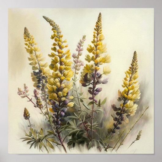 Poster d'impression d'Art Lupine Jaune (Devant)