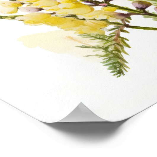 Poster d'impression d'Art Lupine Jaune (Coin)