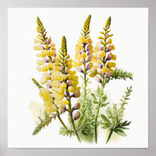 Poster d'impression d'Art Lupine Jaune