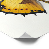 Poster d'impression d'art papillon jaune (Coin)