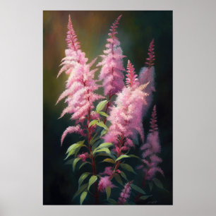 Poster d'impression d'Art rose Astilbe