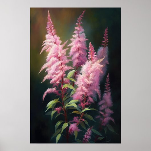Poster d'impression d'Art rose Astilbe (Devant)