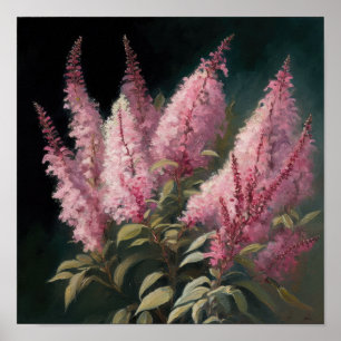 Poster d'impression d'Art rose Astilbe