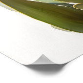 Poster d'impression d'art rose Curcuma (Coin)