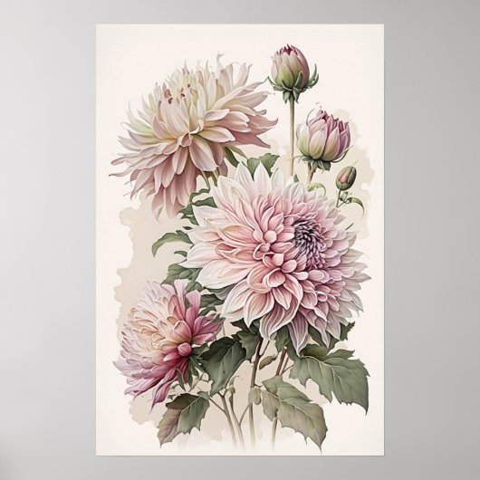 Poster d'impression d'art rose Dahlias (Devant)