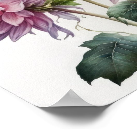 Poster d'impression d'art rose Dahlias (Coin)