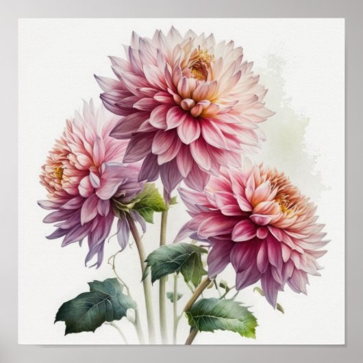 Poster d'impression d'art rose Dahlias (Devant)