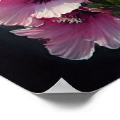 Poster d'impression d'Art rose Delphinium (Coin)