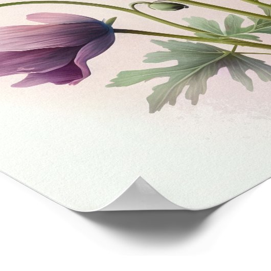 Poster d'impression d'art rose Fleurs d'anémones (Coin)