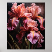 Poster d'impression d'art rose Iris (Devant)