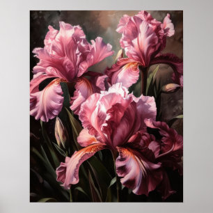 Poster d'impression d'art rose Iris