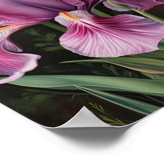 Poster d'impression d'art rose Irises (Coin)