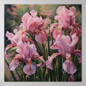 Poster d'impression d'art rose Irises (Devant)