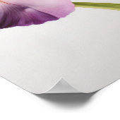 Poster d'impression d'art rose Irises (Coin)