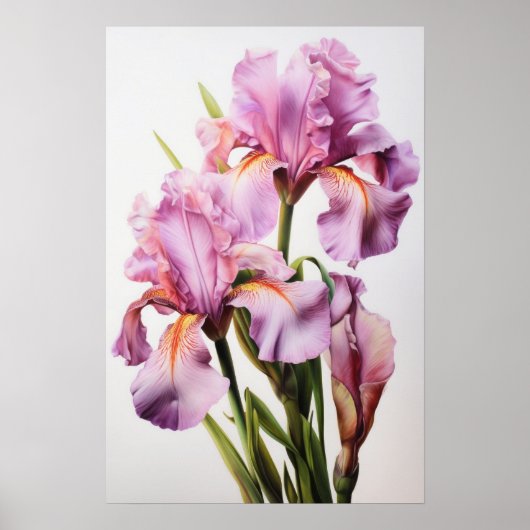 Poster d'impression d'art rose Irises (Devant)