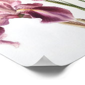 Poster d'impression d'art rose Irises (Coin)