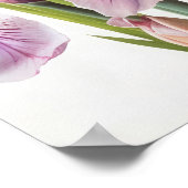 Poster d'impression d'art rose Irises (Coin)