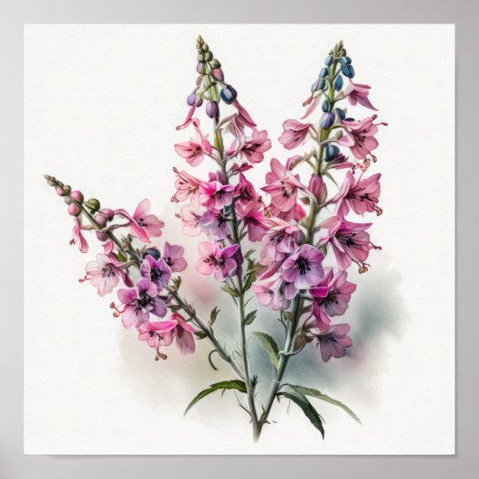 Poster d'impression d'art rose Larkspur (Devant)