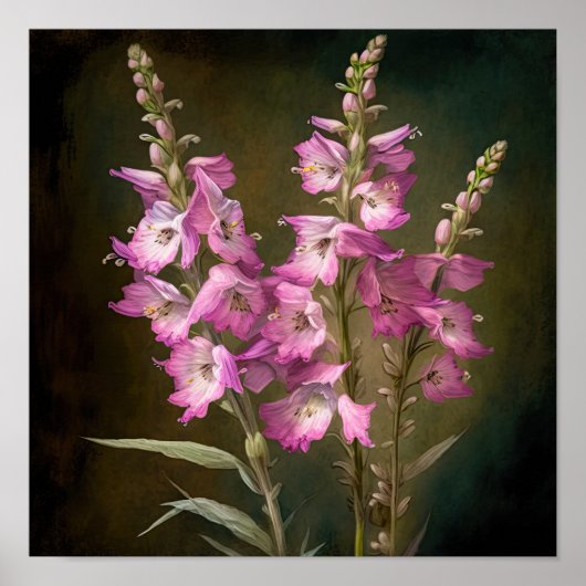 Poster d'impression d'art rose Larkspur (Devant)