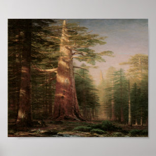 Poster d'impression de Big Pine Tree Art Vintage