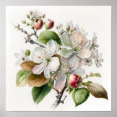 Poster d'impression de fleurs de pomme blanche (Devant)
