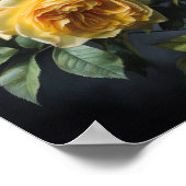 Poster d'impression de fleurs de rose jaune (Coin)