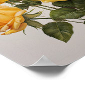 Poster d'impression de fleurs de rose jaune (Coin)