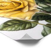 Poster d'impression de fleurs de rose jaune (Coin)