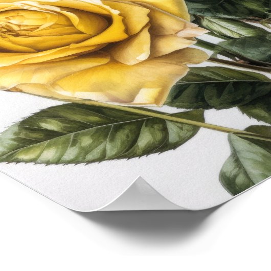Poster d'impression de fleurs de rose jaune (Coin)