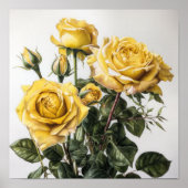 Poster d'impression de fleurs de rose jaune (Devant)