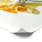 Poster d'impression de jonquilles jaunes (Coin)