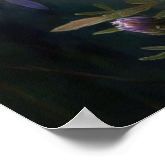 Poster d'impression de l'affiche d'Aster bleu (Coin)