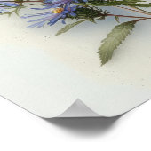 Poster d'impression de l'affiche d'Aster bleu (Coin)