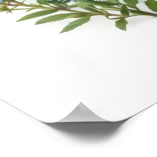 Poster d'impression de l'affiche d'Aster bleu (Coin)