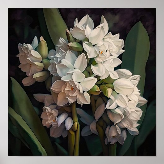 Poster d'impression de l'art à la floraison blanch (Devant)