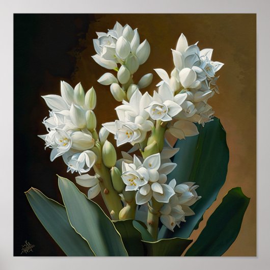 Poster d'impression de l'art à la floraison blanch (Devant)