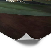 Poster d'impression de l'art à la floraison blanch (Coin)