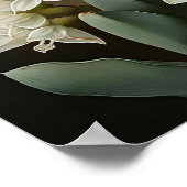 Poster d'impression de l'art à la floraison blanch (Coin)