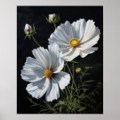 Poster d'impression de l'art Cosmos blanc (Devant)
