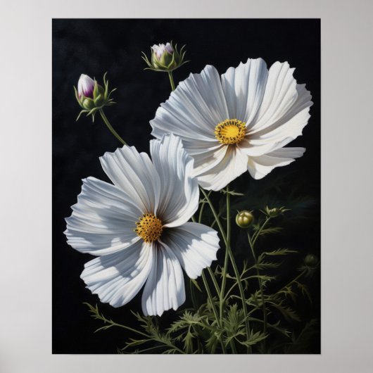Poster d'impression de l'art Cosmos blanc (Devant)