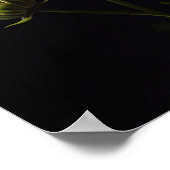 Poster d'impression de l'art Cosmos blanc (Coin)
