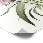 Poster d'impression de l'art de Conflowers violets (Coin)