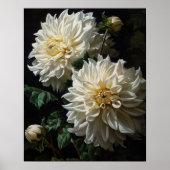 Poster d'impression de l'art de Dahlia blanc (Devant)