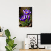 Poster d'impression de l'art de fleurs de crocus v (Bureau à domicile)