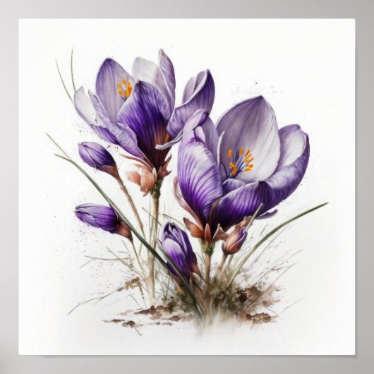 Poster d'impression de l'art de fleurs de crocus v (Devant)