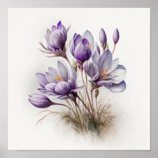 Poster d'impression de l'art de fleurs de crocus v (Devant)