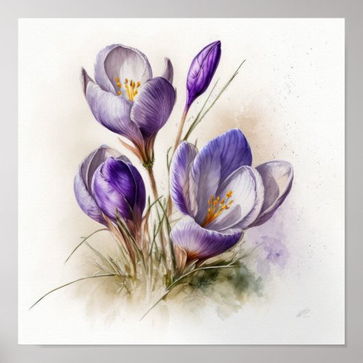 Poster d'impression de l'art de fleurs de crocus v (Devant)