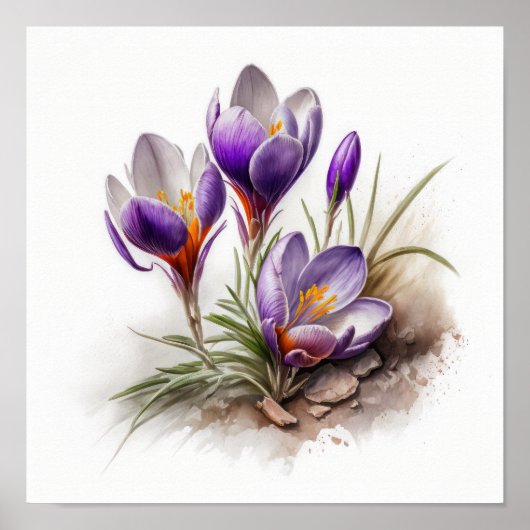 Poster d'impression de l'art de fleurs de crocus v (Devant)